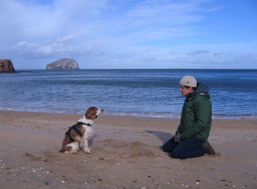 man and dog on Seacliff beach