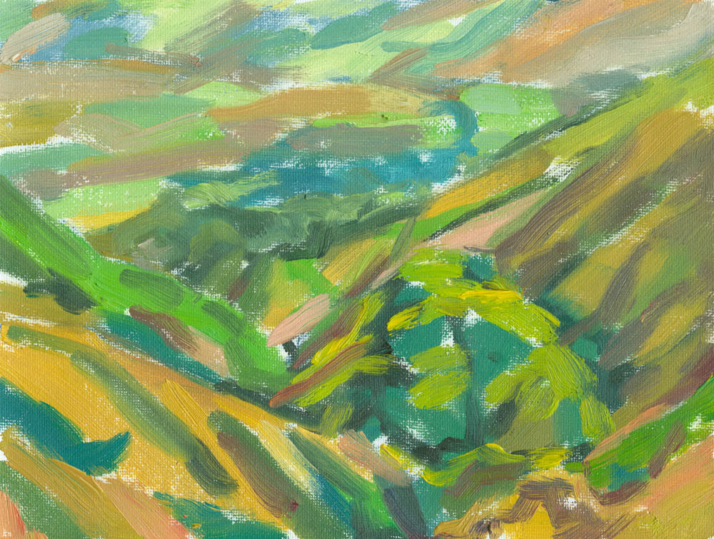 oil on canvas, 6x8, down Settlebeck Gill, plein air