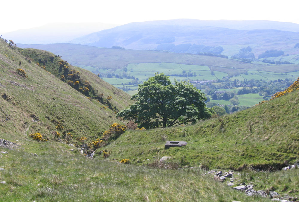 view of hills and tree
