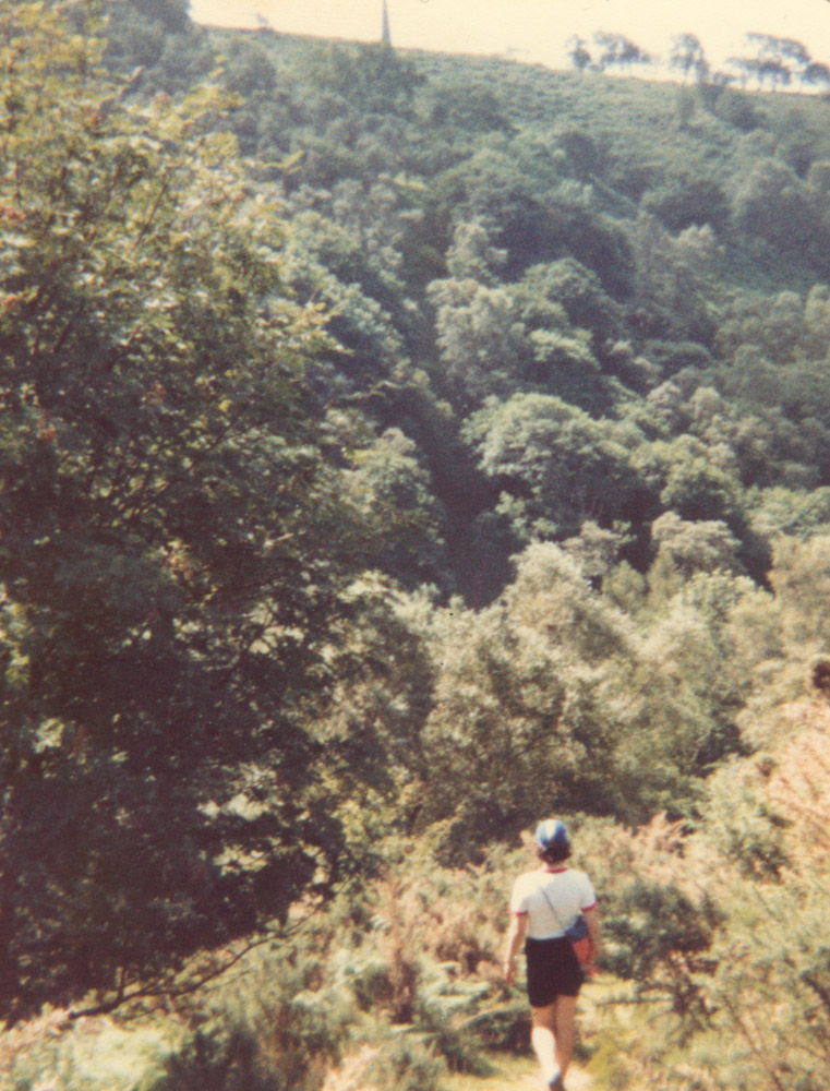 photo of figure striding into trees